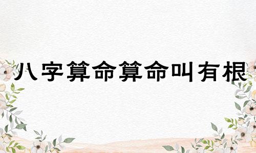 八字算命算命叫有根 定命根和算命的区别