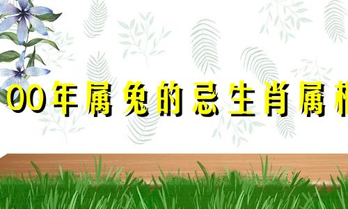 00年属兔的忌生肖属相 属兔和哪个属相相克