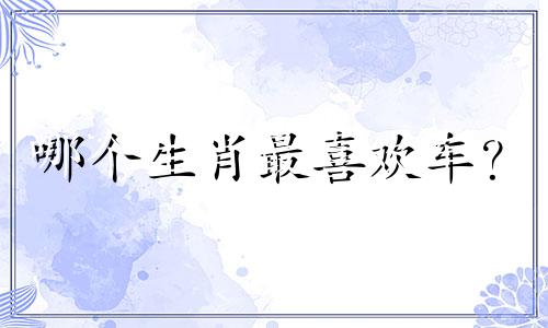 哪个生肖最喜欢车？