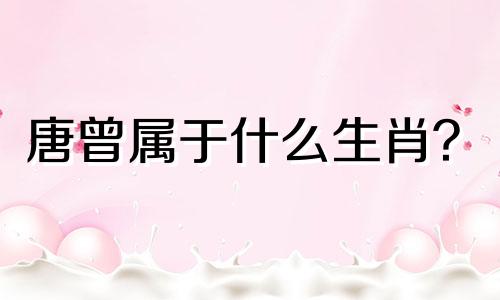 唐曾属于什么生肖？