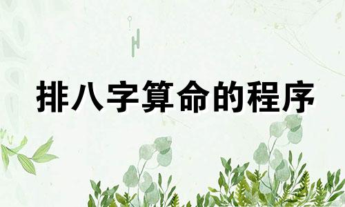 排八字算命的程序 如何排生辰八字