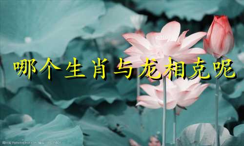 哪个生肖与龙相克呢 属龙的天敌是什么生肖