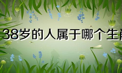 38岁的人属于哪个生肖 38岁的人的生肖是什么