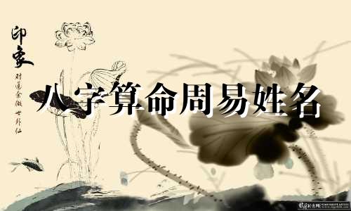 八字算命周易姓名 周易算命生辰八字,小孩起名