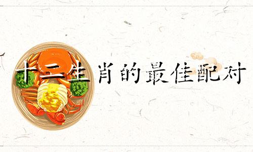 十二生肖的最佳配对 哪些属相与十二生肖最相配