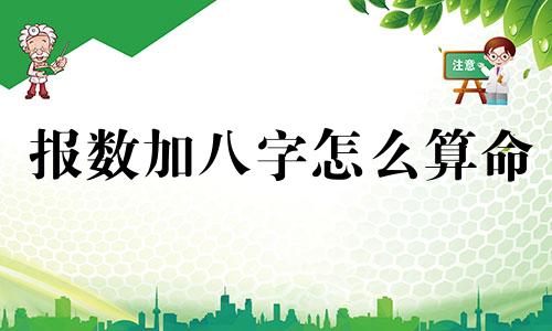 报数加八字怎么算命 怎样用生辰八字算命