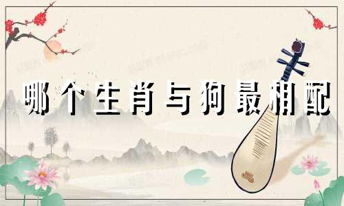 哪个生肖与狗最相配 生肖配对：属狗的最佳伴侣是哪个生肖