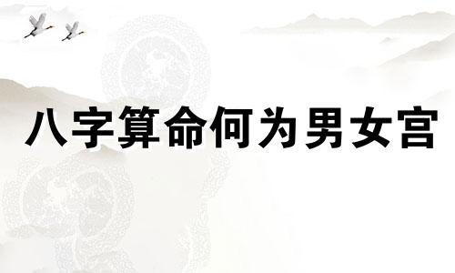 八字算命何为男女宫 男宫女宫推算方法 