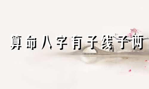 算命八字有子线子两 生辰八字算命