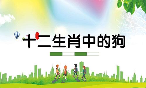 十二生肖中的狗 十二生肖狗