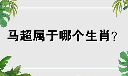马超属于哪个生肖？
