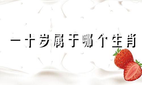 一十岁属于哪个生肖 生肖年份对照表，十二生肖年龄对照表