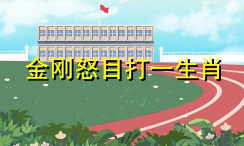 金刚怒目打一生肖