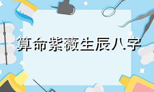 算命紫薇生辰八字 求算命 紫薇盘算命 生辰八字算命