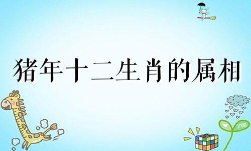 猪年十二生肖的属相 生肖猪是哪几年可以改写为猪年是哪个生肖?生肖猪是哪几年?。
