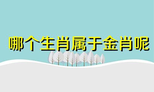 哪个生肖属于金肖呢 十二生肖中的金肖是哪个
