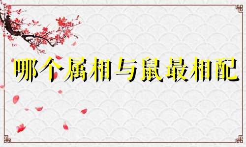 哪个属相与鼠最相配 鼠的最佳生肖搭配