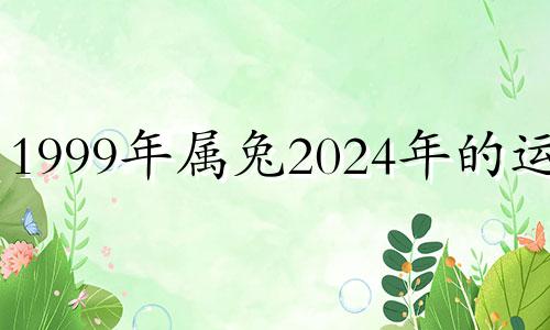 1999年属兔2024年的运势 1999年生肖兔终身幸运色