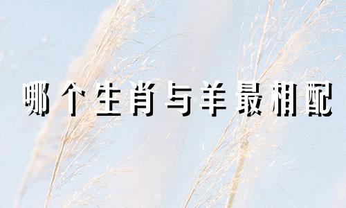 哪个生肖与羊最相配 属羊的人最适合与哪个生肖结合呢