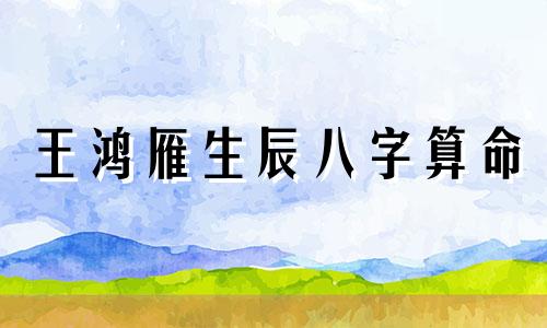 王鸿雁生辰八字算命 谁能看的懂 我算了八字,但是看不懂是什么意思。