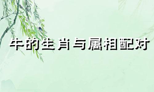 牛的生肖与属相配对 属牛和哪个属相最合适，哪些生肖能与牛共度一生