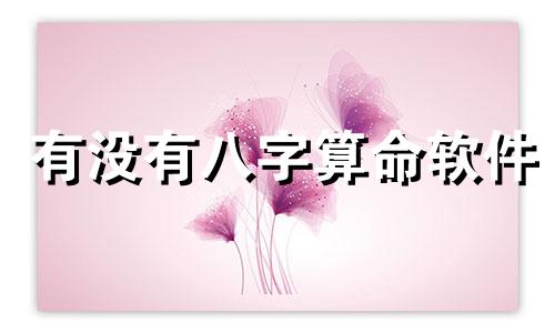 有没有八字算命软件 查询八字的软件有哪些,有什么软件能测自己的生辰八字