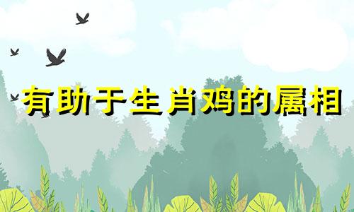 有助于生肖鸡的属相 2021年与鸡属相合财的五大生肖，2021年财运最好的