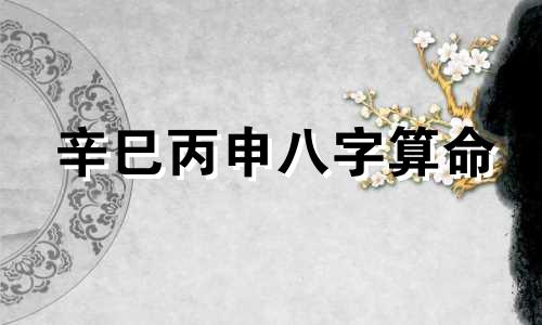 辛巳丙申八字算命 辛巳丙申丙寅辛卯男命怎么样