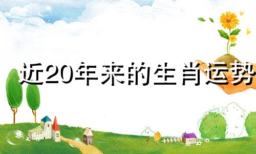 近20年来的生肖运势 2024年哪个生肖运气最佳