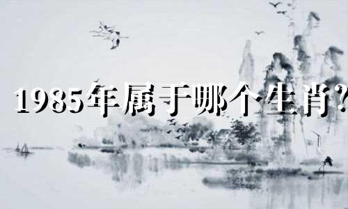 1985年属于哪个生肖?