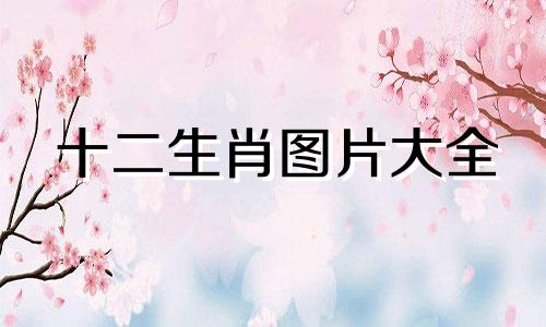 十二生肖图片大全 十二生肖排名表图片