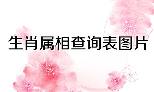 生肖属相查询表图片 属相配对表