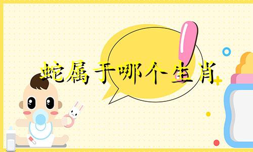 蛇属于哪个生肖 十二生肖中哪些是蛇，十二生肖包括哪些