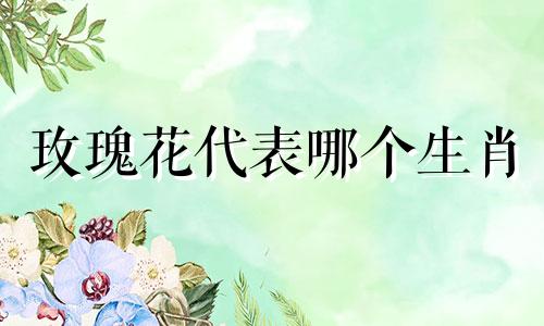 玫瑰花代表哪个生肖 玫瑰属于十二生肖中的哪一个