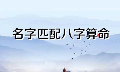名字匹配八字算命 姓名八字配对,生辰八字配对