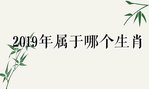 2019年属于哪个生肖 2019年是哪个生肖年份