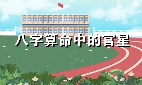 八字算命中的官星 八字中官星是什么意思,请问各位易友,这个女