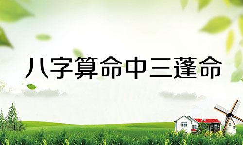 八字算命中三蓬命 算命三甲命是什么意思