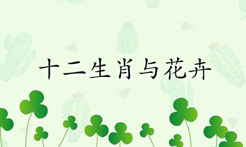 十二生肖与花卉 代表花名的生肖