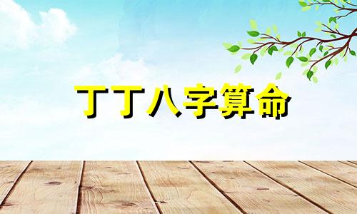 丁丁八字算命 婚姻算八字,算八字合婚姻