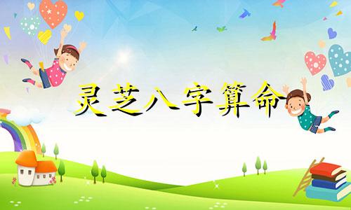 灵芝八字算命 八字算命