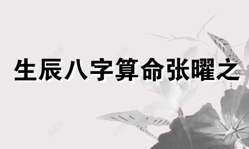 生辰八字算命张曜之 什么是生辰八字 