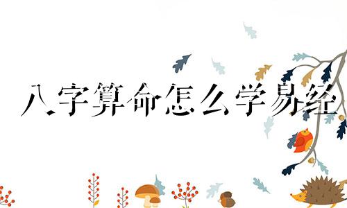 八字算命怎么学易经 知道生辰八字怎么用易经算卦