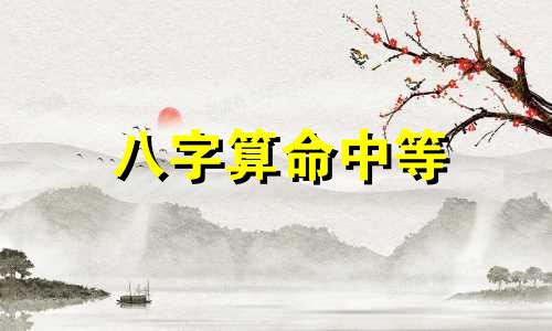 八字算命中等 八字合婚中等婚,八字合婚