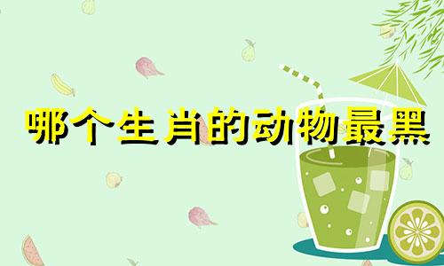 哪个生肖的动物最黑 最黑的动物是哪个生肖