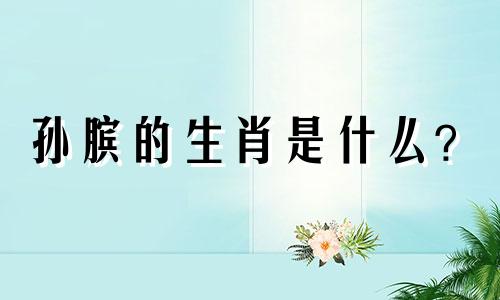 孙膑的生肖是什么?