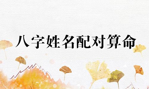 八字姓名配对算命 姓名八字配对测试，姓名配对测算" 可以改写为 "八字姓名配对算命 姓名