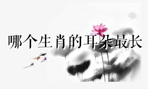 哪个生肖的耳朵最长 十二生肖中耳朵最长的动物是哪个