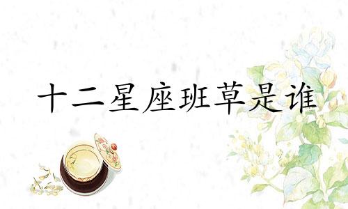 十二星座班草是谁 十二星座被谁暗恋可以改写为谁是十二星座中的班草,谁又暗恋着他们