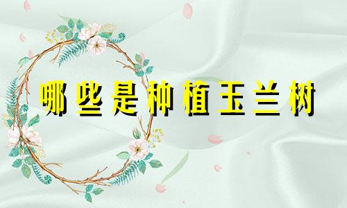 哪些是种植玉兰树 紫玉兰花树的风水禁忌？